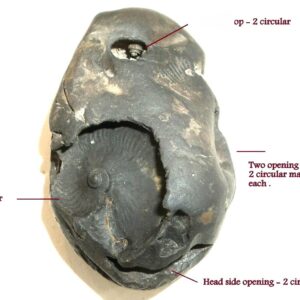 Vishvaksena Shaligram