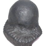 Sarvottam Laxmi Vanamala Kurma Shaligram