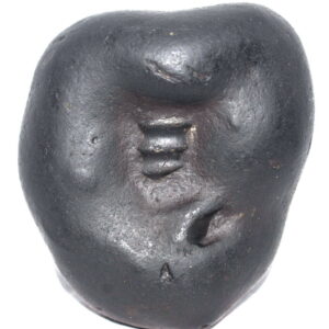 Sarvottam Kurma Shaligram