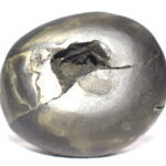 Syamantaka Hari Shaligram