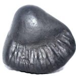 Sarvottam Giri Govardhan Shaligram