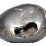 SankarShana Shaligram