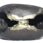 DamshtriKarala Narsimha Shaligram