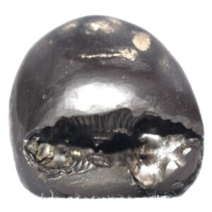 Shesha Shaligram