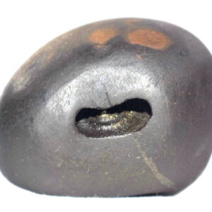 Dattatreya Shaligram