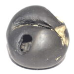Kurma Shaligram