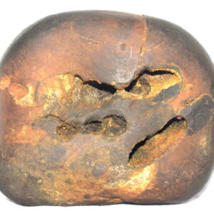 Chakrapani Shaligram