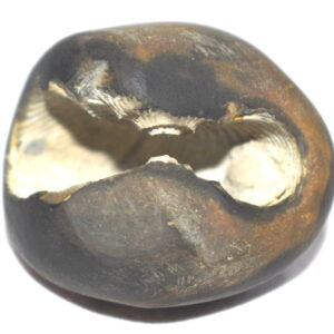 Avyaya Shaligram