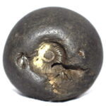 Parameshti Shaligram