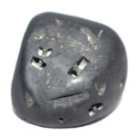 VishvaRupa Shaligram