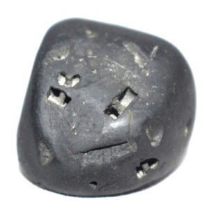 VishvaRupa Shaligram