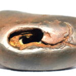 Ugra Narsimha Shaligram