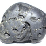 Ananta Shaligram