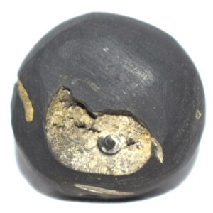 Kshirabdisayee Shaligram