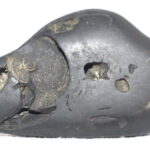 Govinda Shaligram / Rare Govinda Dashavtar Salagram