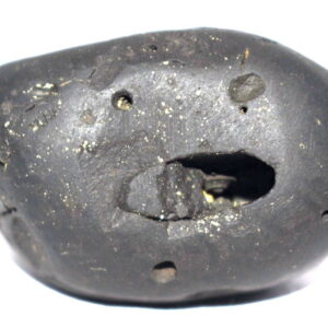 Pattabhi Rama Shaligram
