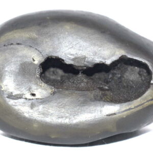 Rare Arbhaka Shaligram