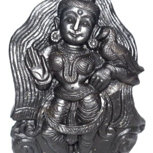 Tulsi Devi Idol on Natural Golden Sudarshan Shaligram