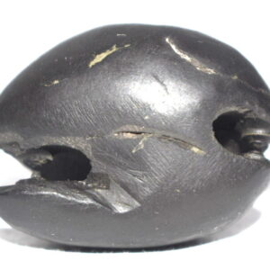 Matsya Shaligram