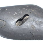 RajaRajeshwara Shaligram