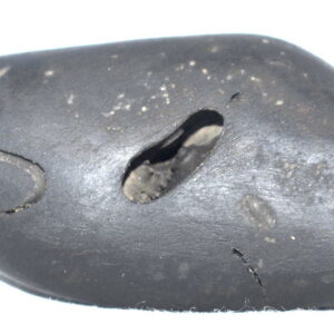 RajaRajeshwara Shaligram