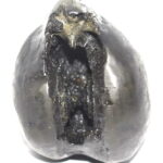 Sacred Adwaitya Golden Kalpavriksha Tripura Bhairavi Shaligram