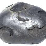 VishvaRupa Shaligram