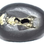 Vaman Shaligram