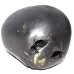 Vishvaksena Shaligram