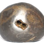 Pattabhi Rama Shaligram