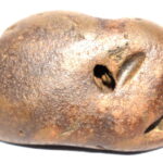 SangKarShana Shaligram