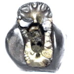 Sacred Adwaitya Golden Kamal Laxmi Dasha MahaVidya Shaligram