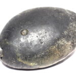Sarvottam Kurma Shaligram