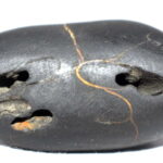 Janardhana Shaligram