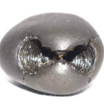 Shesha Shaligram