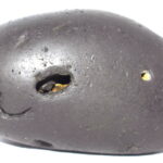 Pradyumna Shaligram