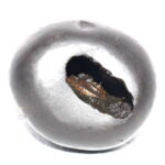 Kapila Yagna Shaligram