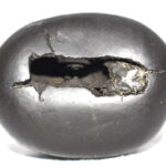 ShyamaRakta Gopala Shaligram