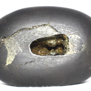 Govarddhana Shaligram