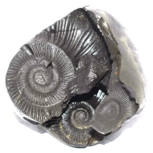 AdhoMukha Narasimha Shaligram