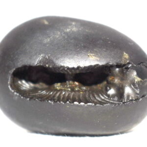 Vaman Shaligram