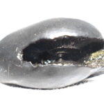 Laxmi Bhu Varaha Shaligram