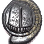 Lord Krishna Charan Paduka On Natural Golden Shankha Shape Keshava Shaligram