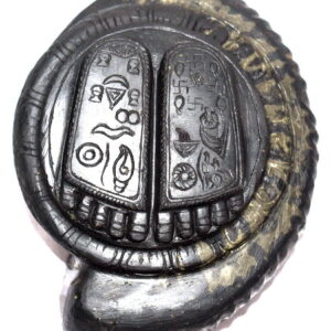 Lord Krishna Charan Paduka On Natural Golden Shankha Shape Keshava Shaligram