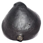 Sacred Adwaitya Golden Laxmi Maha Vishnu Garuda Shaligram