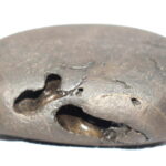 Pattabhi Rama Shaligram