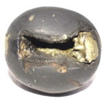 Ahobila Narsimha Shaligram - Ugra Narasimha Salagram