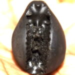 Sacred Adwaitya Pratyangira Devi Golden Narasimhi Shaligram