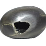 Varaha Shaligram - AnkushaKara Bhu Laxmi Varaha Salagram