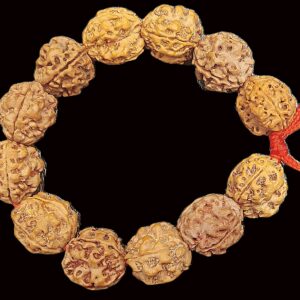3 Mukhi Rudraksha Bracelet - Nepal